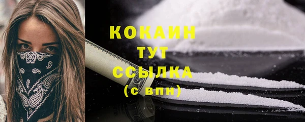 mdpv Богданович