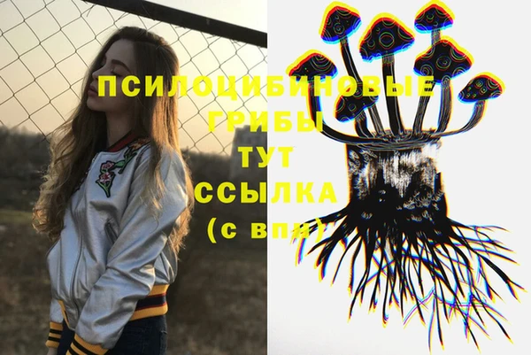 mdpv Богданович