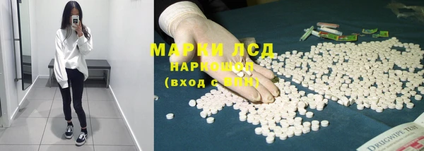 mdpv Богданович