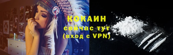 mdpv Богданович