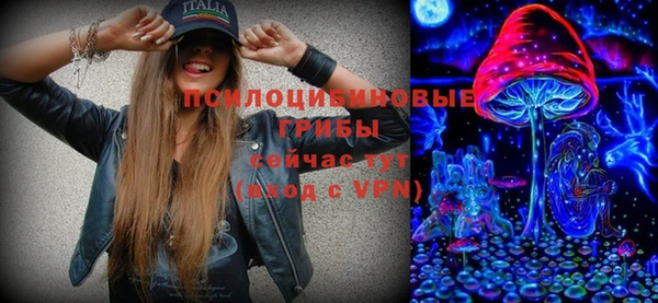mdpv Богданович