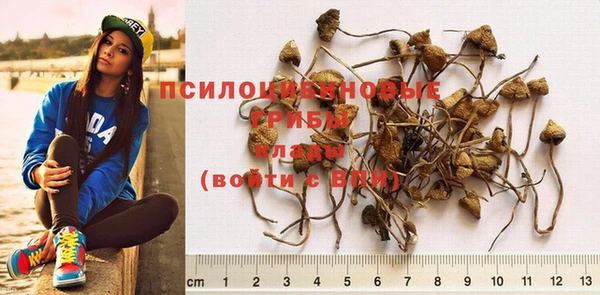 таблы Бородино