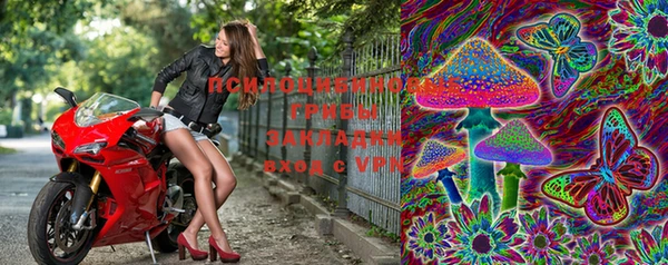 mdpv Богданович