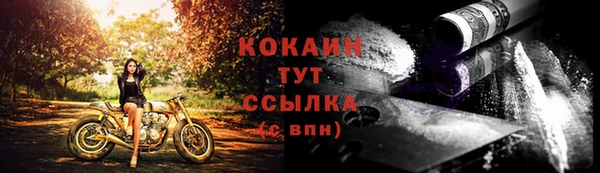 прущий лед Богородицк